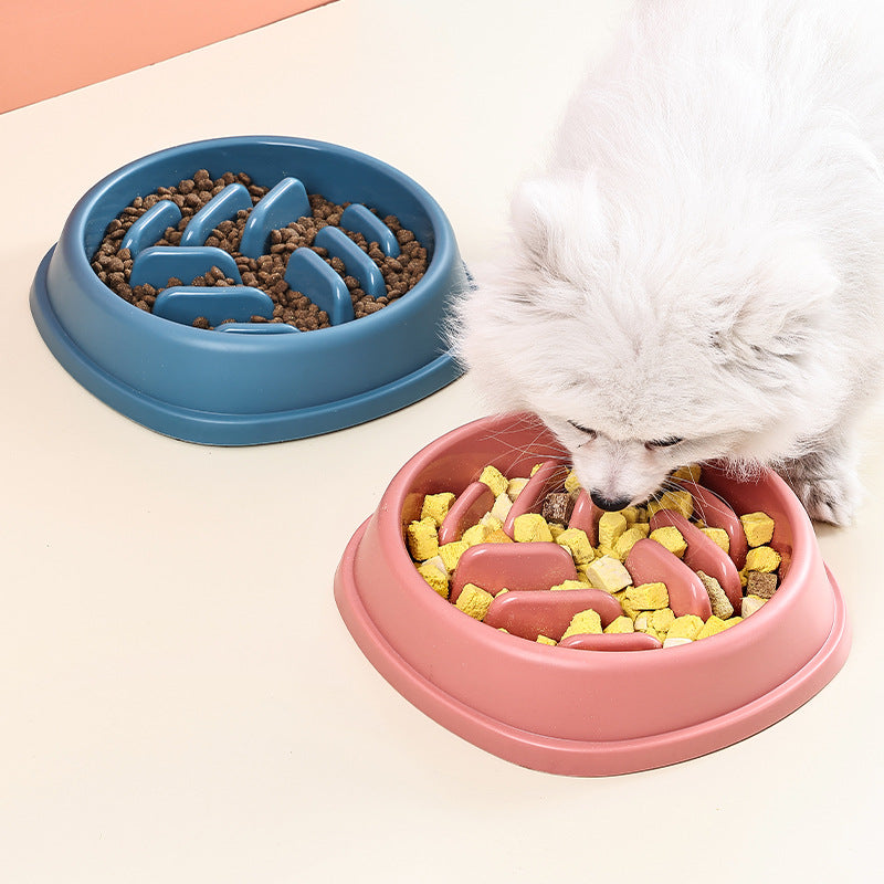 Anti-Choke Pet Bowl for Calm and Controlled Mealtimes